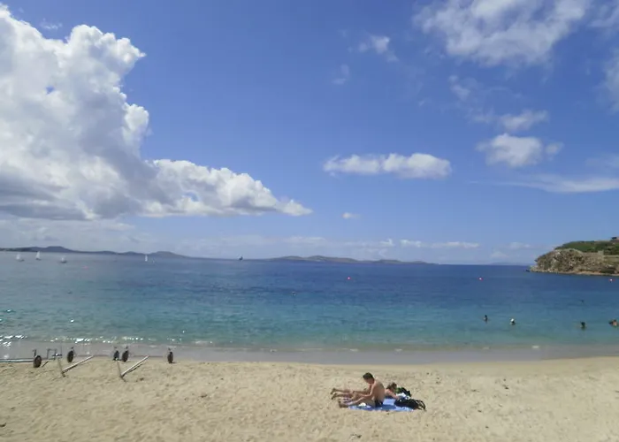 Artemis Agios Stefanos Avliotes